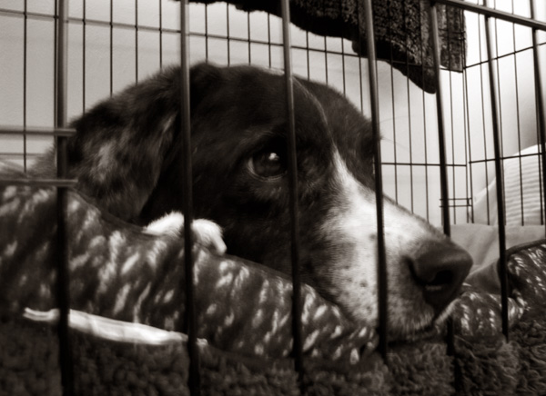 I'm getting nothing for Christmas.