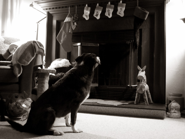 I think I heard something...