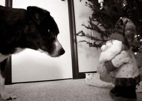 Naughty list? Dad's gloves? You heard about that?