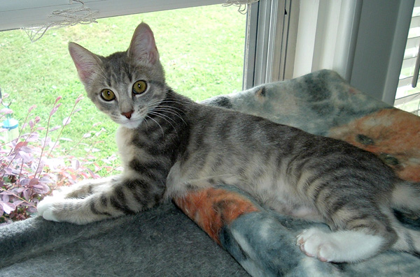 Long John Silver, 2007