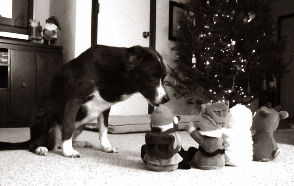 I'm nervous about Christmas. Will you tell me a story?