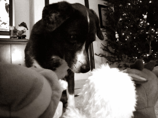 And then what happened? Rudolph, did you stop for the Misfit Toys?