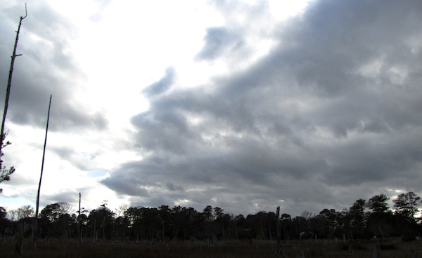 First Landing Jan 30