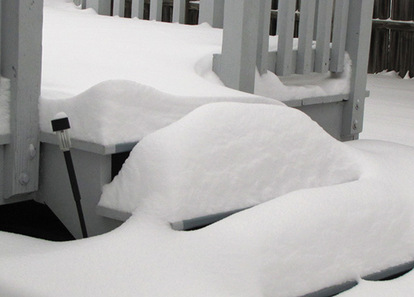 Snow Jan 29