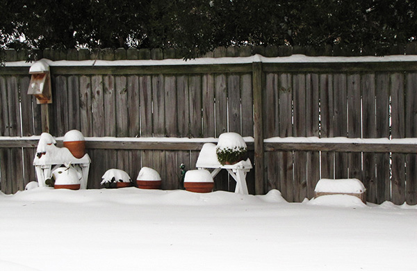 Snow Jan 29