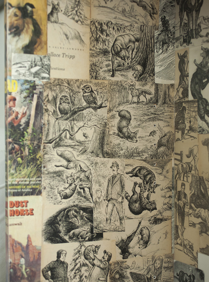 Shelf 2 July 8 Detail