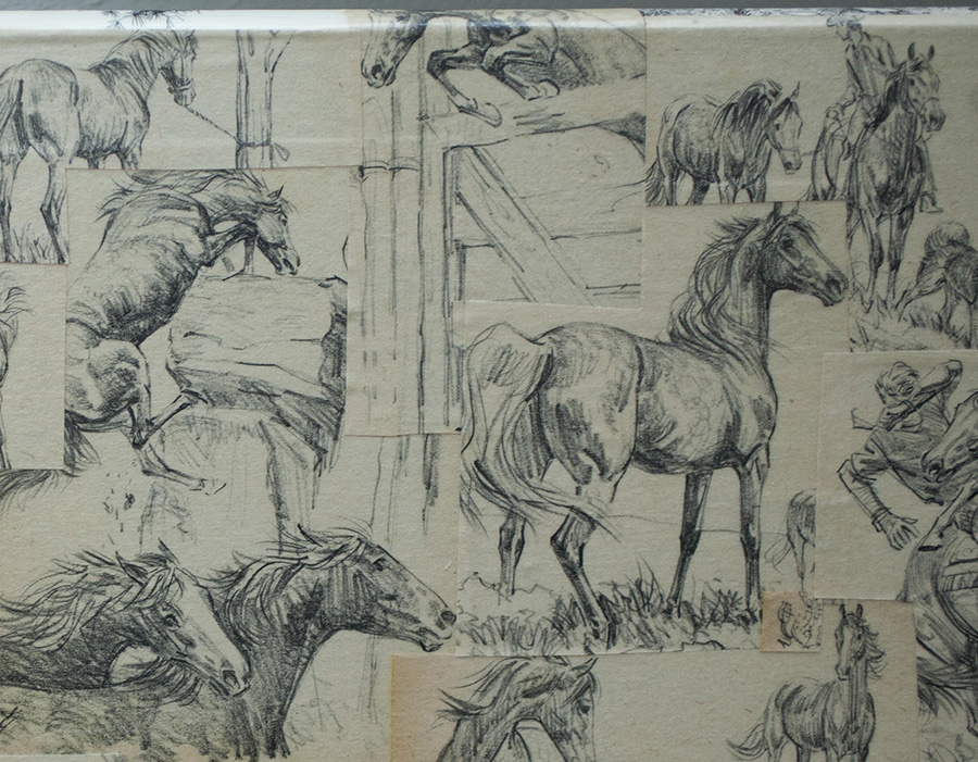 Shelf 2 July 8 Detail