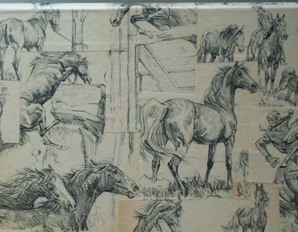 Shelf 2 July 8 Detail