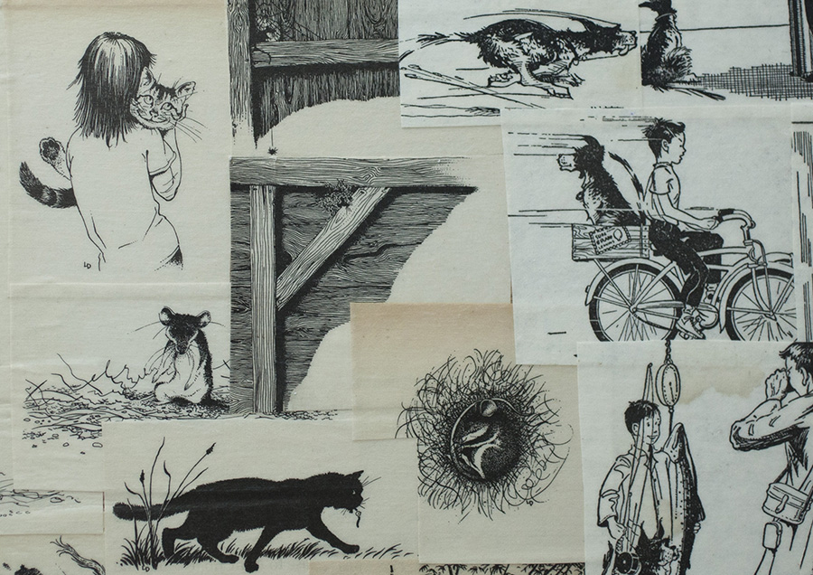 Shelf 2 July 8 Detail