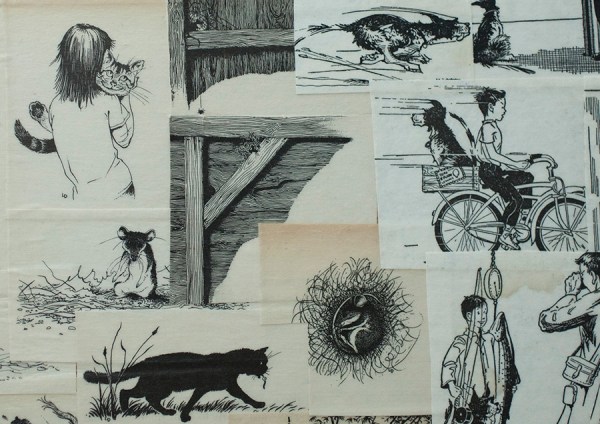 Shelf 2 July 8 Detail