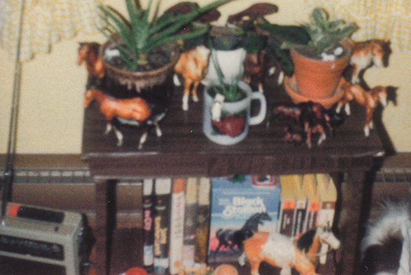 Blurry photo of a contact-paper covered nightstand/bookshelf. The stand was, at this point, being used to display some of my horse collection, a few houseplants, and books. The room was painted yellow with yellow gingham curtains. On the floor beside the stand, my radio/cassette player was a large-ish gray box with a long antenna, thick buttons, and a dial-type radio.