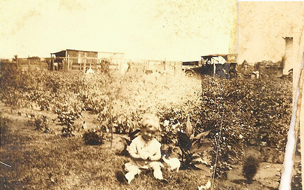 Sepia-toned image from the family archive. A chicken shed and early-model car are in the background, behind a garden that is either winter-weary or spring-immature. A blonde toddler in white clothes is sitting on the ground at the edge of the garden. A white kitten is standing beside the child. The kitten's body language makes me think it was probably being petted in the moments before the photo was snapped.